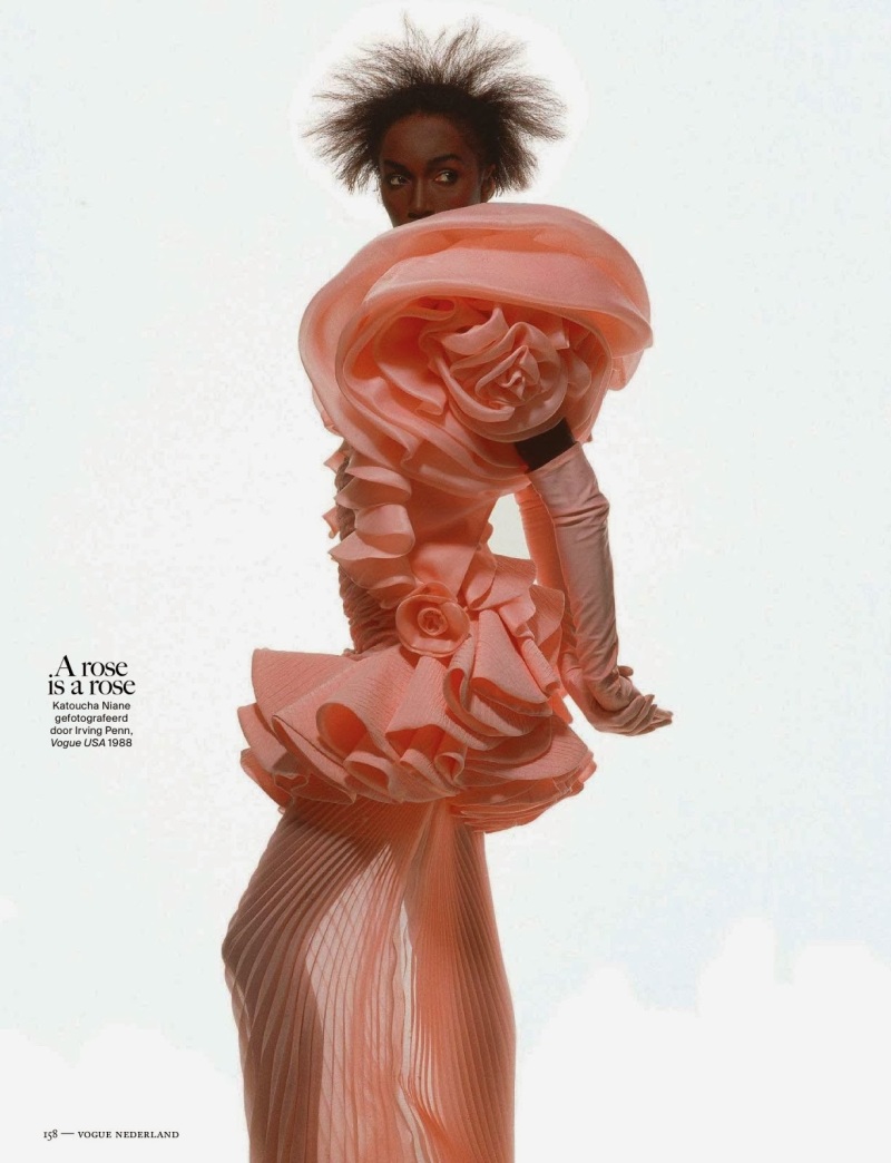 Vogue Netherlands November 2013 : Flower Bomb